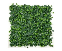 Install Stunning Green Wall Panels for a Photogenic Background