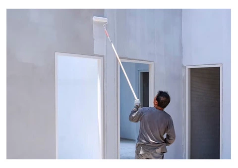 Top Professional House Painters Near You Today