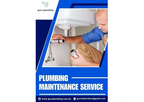 Plumbing Maintenance Services for Long-Lasting Solutions