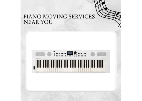 Light-Up Keyboards Do They Really Help You Learn Faster