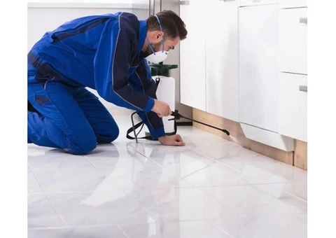 Reliable Pest Control Services in Footscray