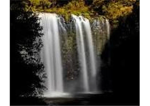 Financial Wellness Workshop - 3/3