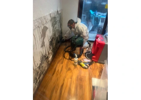 Geelong Mould Cleaning