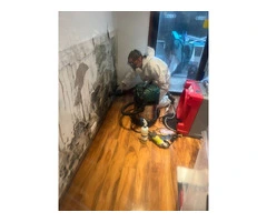 Geelong Mould Cleaning