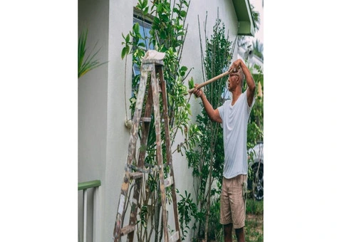 Touch Up Painting service