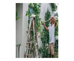 Touch Up Painting service