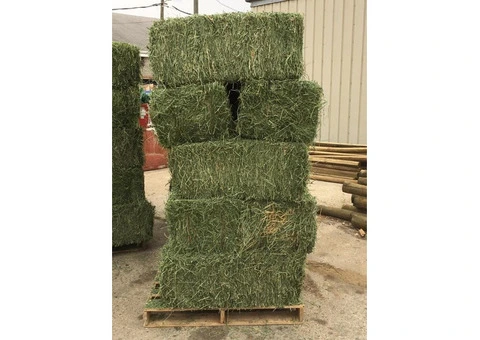 🌾 Fresh, Clean Hay Bales for Sale – Ideal for Horses, Goats, Rabbits, More! 🌾