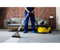 reliable carpet cleaners in Newtown