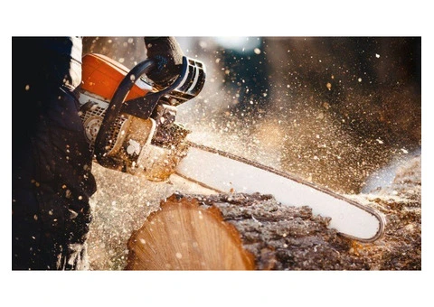 Tree Lopping North Shore