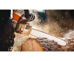 Tree Lopping North Shore