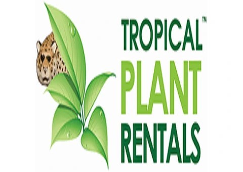 Tropical Plant Rentals