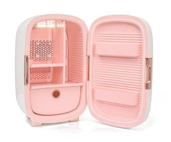 Keep It Fresh with a Stylish Beauty Fridge