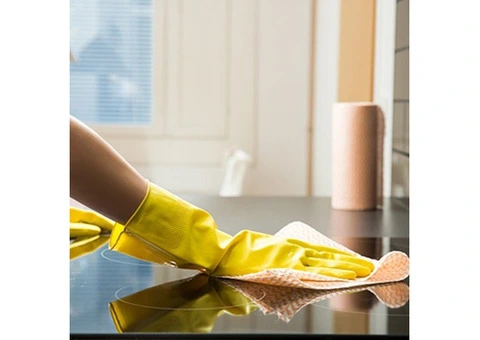 Elisia Cleaning - 2/6