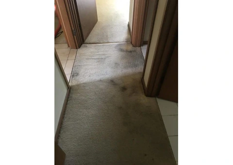 Elisia Cleaning - 6/6