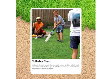 Strong Roots, Stunning Looks – The Power of Nullarbor Couch Turf