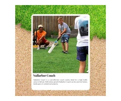 Strong Roots, Stunning Looks – The Power of Nullarbor Couch Turf