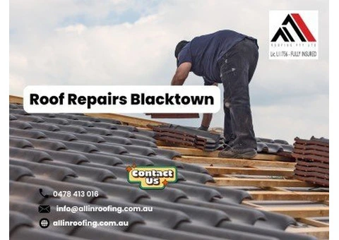 Roof Repairs Blacktown - Metal Roofing