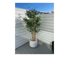 Bring Timeless Greenery Into Your Space With Realistic Artificial Plants