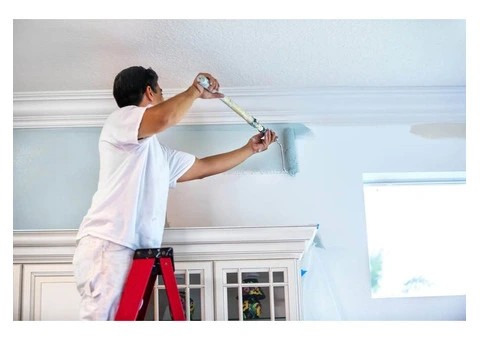 High Quality Painting Services in Karratha by Skilled Painters
