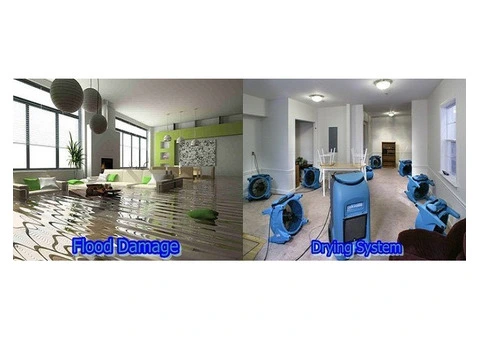 Carpet Water Damage Baulkham Hills | Flood Damage Restoration