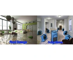 Carpet Water Damage Baulkham Hills | Flood Damage Restoration