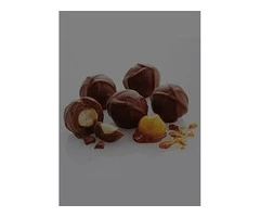Confectionery Chocolate Products