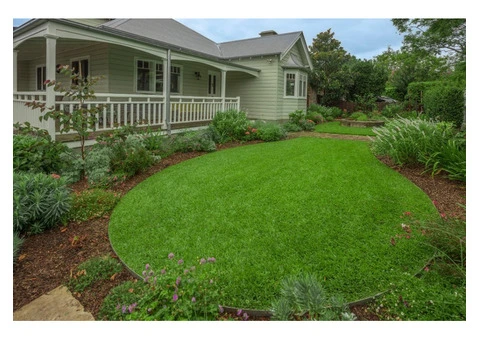 Sir Walter Buffalo Adelaide