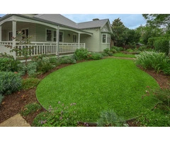 Sir Walter Buffalo Adelaide