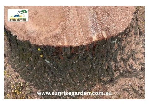 Local Tree Removal Adelaide S.A.