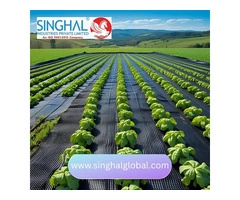 Durable Weed Mat for Garden & Agriculture | UV-Stabilized Ground Cover at Best Price