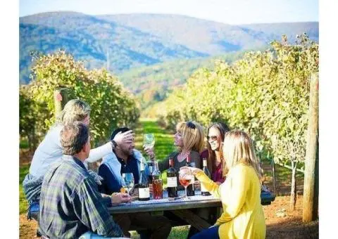 Explore Melbourne’s Wine Scene with Nighcruiser