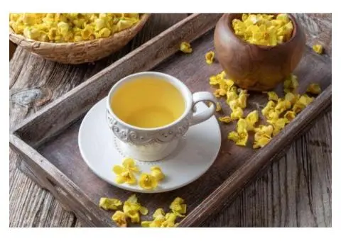 Mullein Tea – Natural Lung & Gut Support