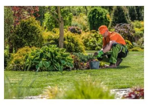 Top-Notch Gardening Services in Greater Melbourne by Moonering Gardens