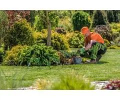 Top-Notch Gardening Services in Greater Melbourne by Moonering Gardens