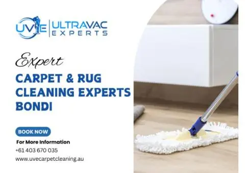 Affordable Carpet & Rug Cleaning in Bondi – Ultravac Experts