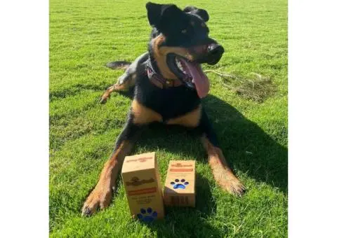 Eco-Friendly Dog Waste Bags: Waste Less, Wag More - 3/5