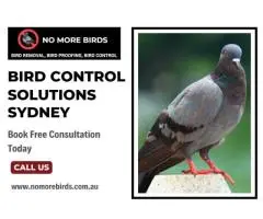 Bird Control Solutions Sydney