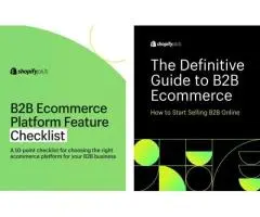 Custom B2B E-commerce Website Solutions for Online Growth