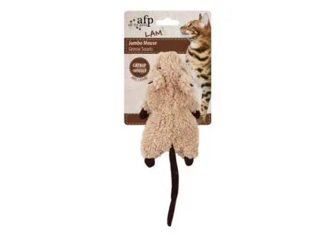 Purr-fect Fun for Your Feline with Cat Toys in Ballarat