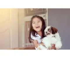 Eastern Companion Dog Training