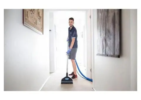 Expert Carpet Cleaning Services in Northern Beaches, Sydney