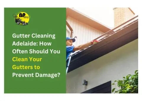 Gutter Cleaning Adelaide: How Often Should You Clean Your Gutters to Prevent Damage?