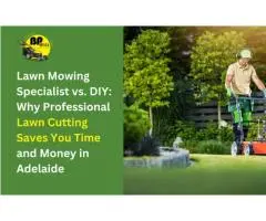 Lawn Mowing Specialist vs. DIY: Why Professional Lawn Cutting Saves You Time and Money in Adelaide