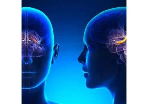 Reclaim Your Mental Wellness with TMS Therapy in Australia - 1/4