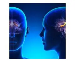 Reclaim Your Mental Wellness with TMS Therapy in Australia