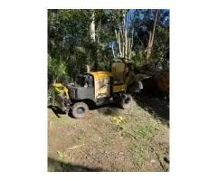 Clean Slate for Your Landscape: Stump Removal Gold Coast