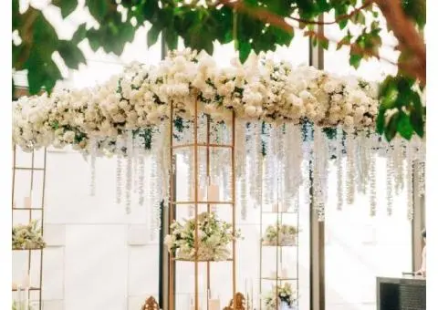 Wedding Planner Thomastown – The Wedding Factor with Neha - 4/14