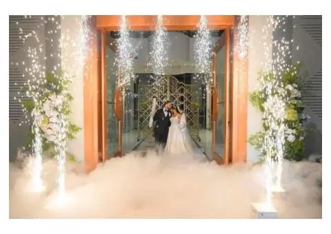 This is Why Couples Trust Us for Sydney Wedding Venues Every Time - 2/2