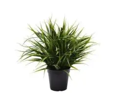 Brighten Up Your Space with Stunning Plant Walls