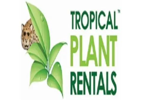 Tropical Plant Rentals